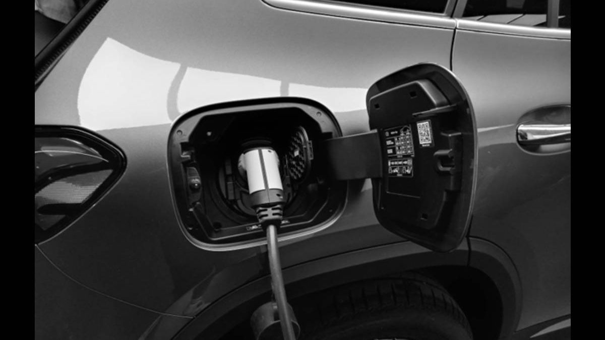 Charging Stations: EVSEs (electric vehicle supply equipment)