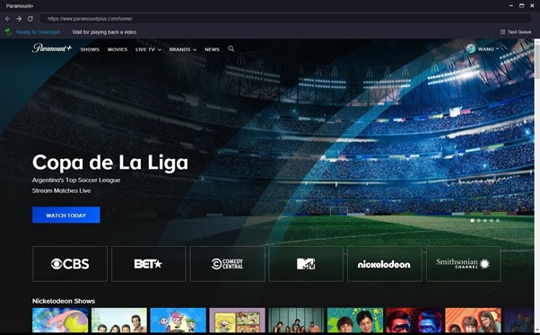 Check the subtitles and metadata infobox